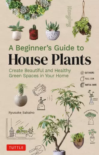 A Beginner's Guide to House Plants