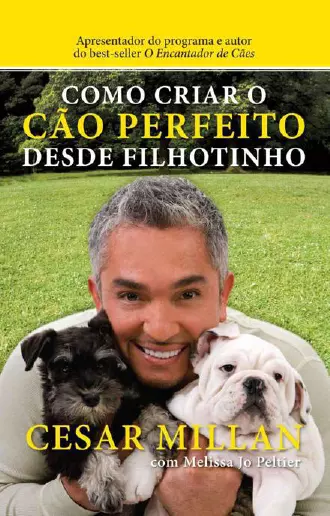 Como criar o cão perfeito desde filhotinho