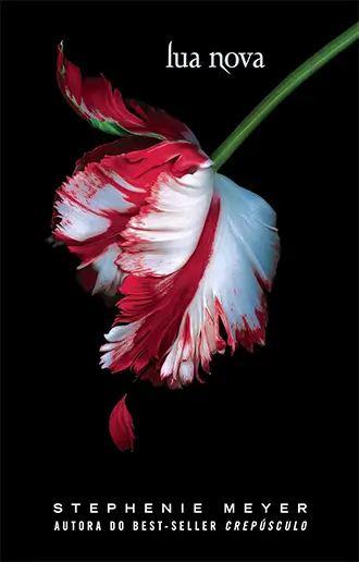 Lua Nova - Livro 2
