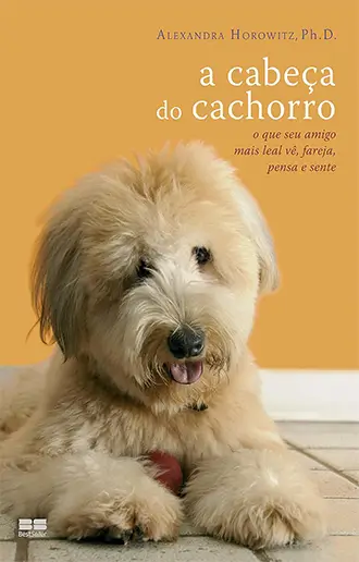 A cabeça do cachorro