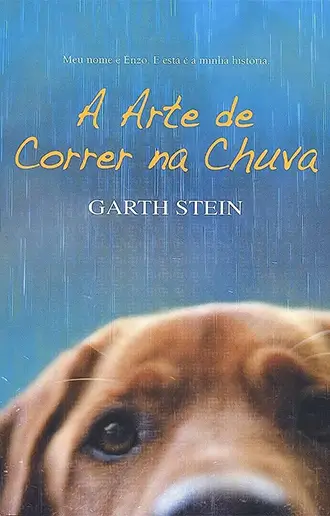 A Arte de Correr na Chuva